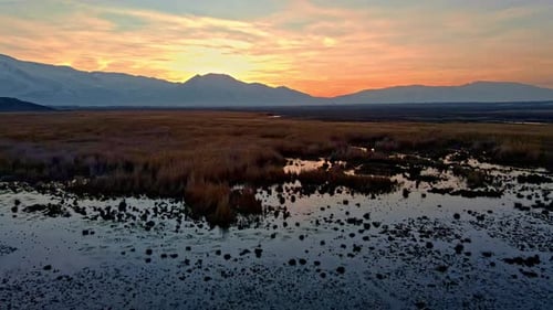 Marshy Landscape at Sunset with Distant Mountains