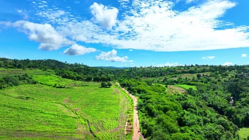 Agricultural area on a hill. Aerial view.