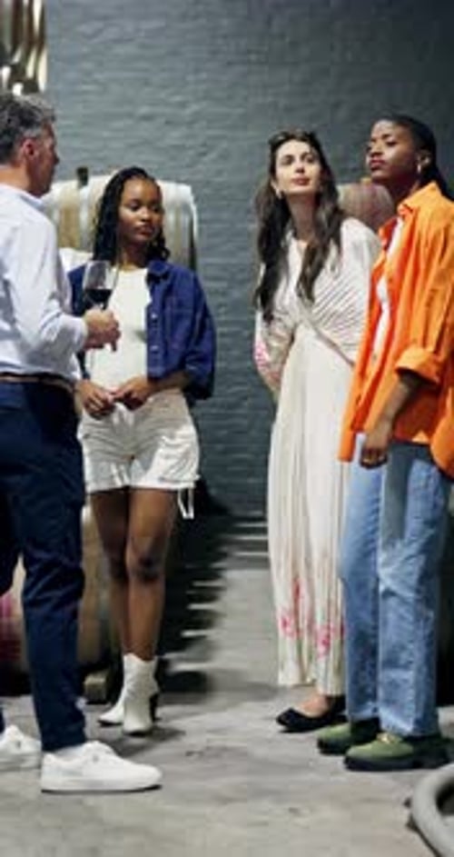 Wine tasting, cellar and sommelier with people for tour on winemaking process at vineyard