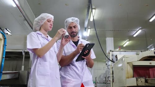 Deux inspecteurs examinent les conserves et le contrôle de la qualité dans une usine, une chaîne de production de l'industrie alimentaire.