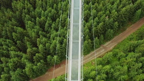 Blick von oben auf die längste Himmelsbrücke und den Wald Dolni Morava, Tschechische Republik