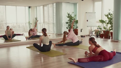 Group of Women Stretching in a Yoga Fitness Class
