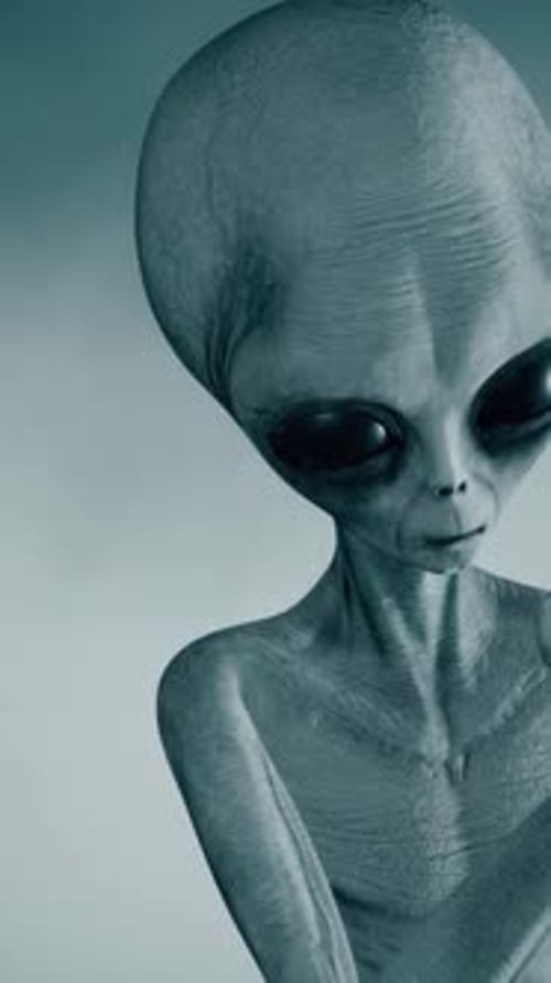 Scary Gray Aliens Walk and Look Blinking on a