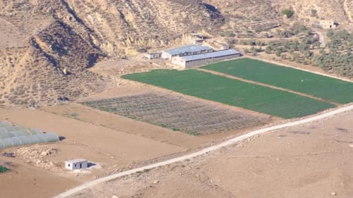 View of food production farms, fruit crops, surrounded by a vast, dry terrain in Jordan, Middle East