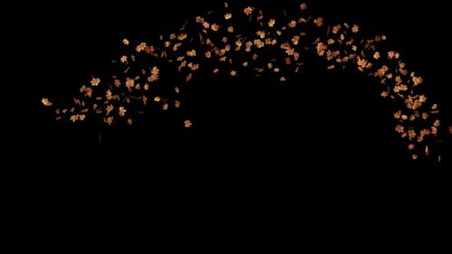 Alpha Channel Maple Leaves Seasonal 02 HD