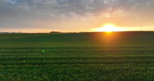 Luftaufnahme der Getreidefelder zur Goldenen Stunde