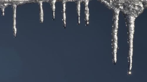 Wunderschöne tropfende Eiszapfen an einem warmen, hellen, sonnigen Tag. Schmelzende Eiszapfen auf blauem Hintergrund.
Frühling