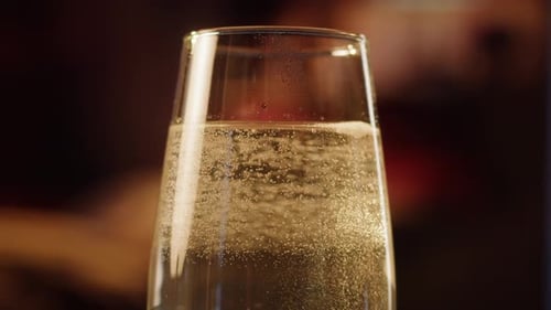 Bubbly Champagne Glass Close Up Celebration