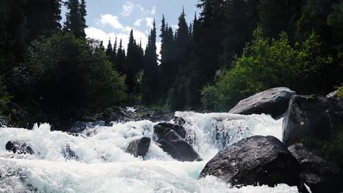 Mountain River Runs at Morning in Slow Motion