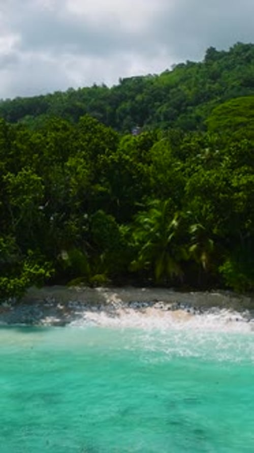 Beachfront with Lush Vegetation and Turquoise Waves Seychelles Mahe