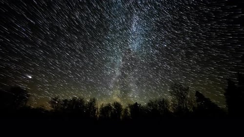 Star trails time lapse of the night sky with dark trees in the foreground. Includes the Milky Way an