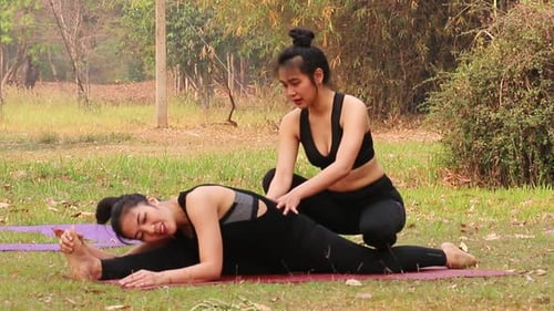 Women Practicing Yoga and Stretching in Park