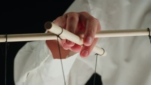 The Puppeteer Controls the Puppets in the Theater Managing People at Work in Politics and Government