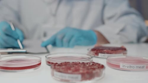 Scientist Analyzing Lab-Grown Meat Samples in Petri Dishes