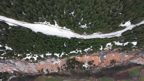 Steep Switzerland mountainside with forest and train tracks near edge