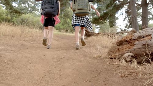 Two hikers with backpacks trek along a forest trail