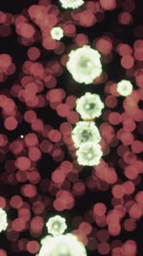 Viruses Under the Microscopic View for Education