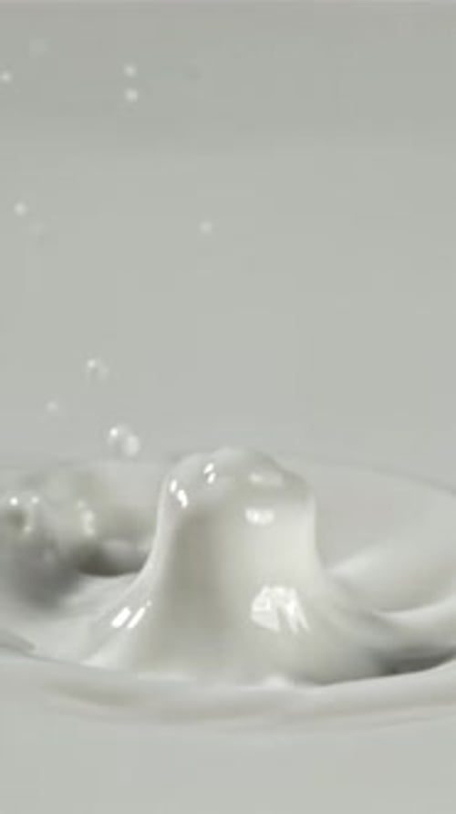Splashes From a Drop of Milk Filmed on a Highspeed Camera at 1000 Fps