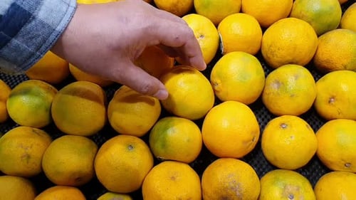 Un homme choisit des mandarines au supermarché. Concept d'achat, gros plan.