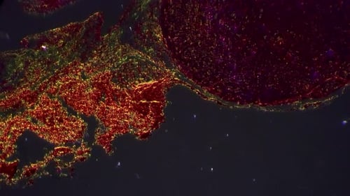 Glowing Microscopic Red and Orange Object