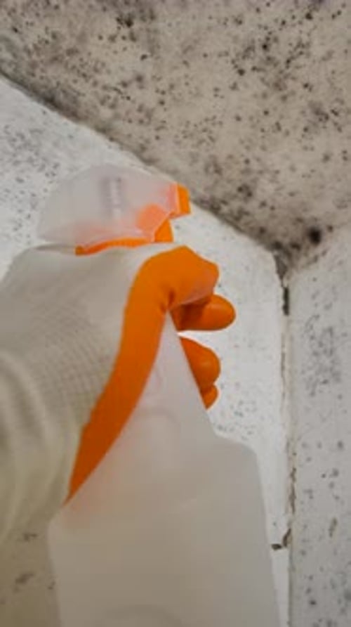Spraying Cleaning Fluid on Moldy Wall