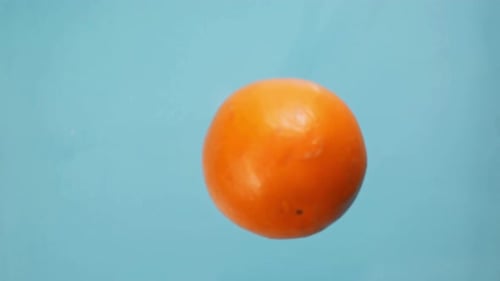 Orange Fruit