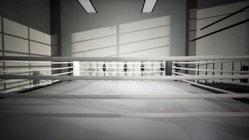 Sunlit Modern Boxing Gym with Empty White Ring