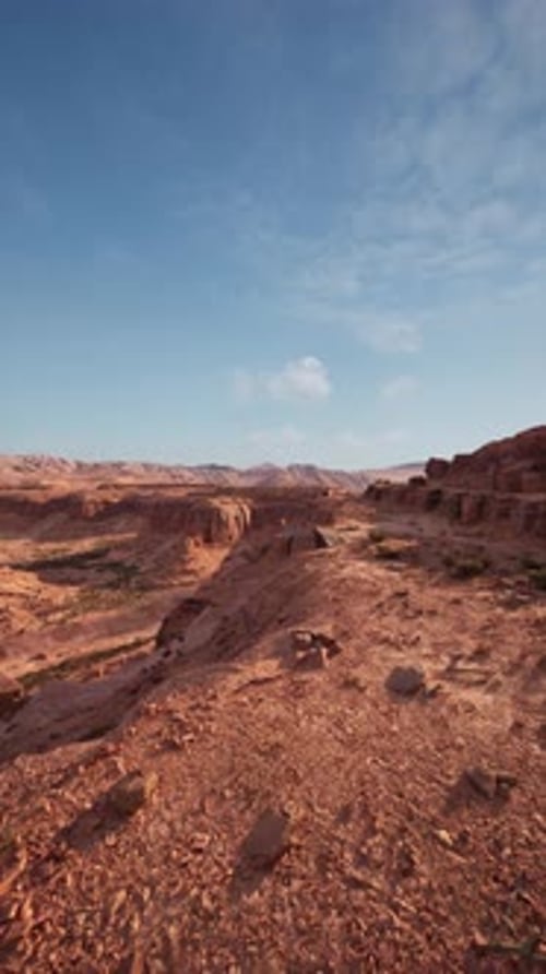 Desert Dirt Road Under Harsh Sun