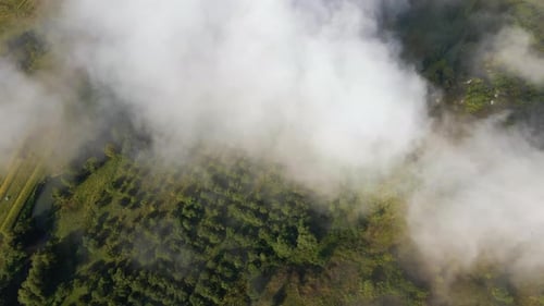 Aerial View From Above of Morning Fog Over Green Wooded Landscape