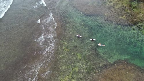 Surfers walking towards the waves in the sea, aerial view