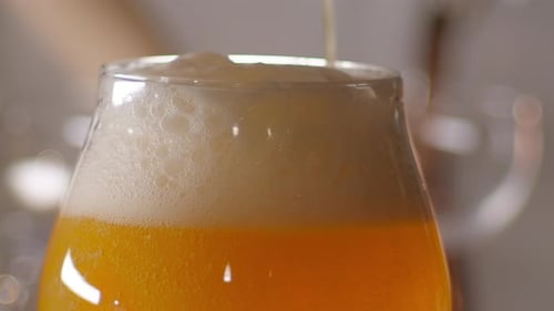 Slow Motion Close up of craft Beer being poured in to a tulip glass, bar background
