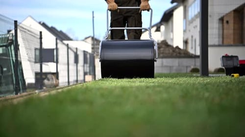 Lawn Rolling for a Smooth Finish in Early Spring Gardening Preparation