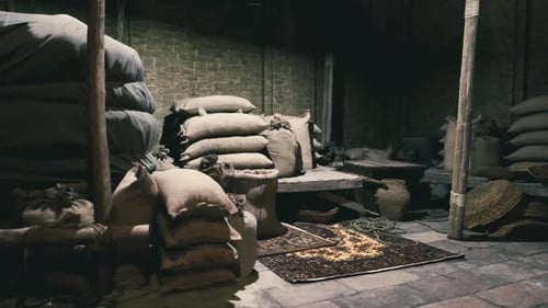 Exploring an Old National African Market Filled with Bags of Various Produce