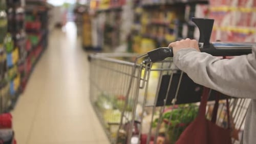 Garota comprando mantimentos com o carrinho
