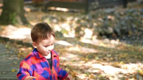 Child Walking in Autumn Leaves in Forest