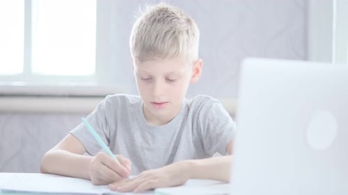 Boy Studying and Writing at Desk at Home