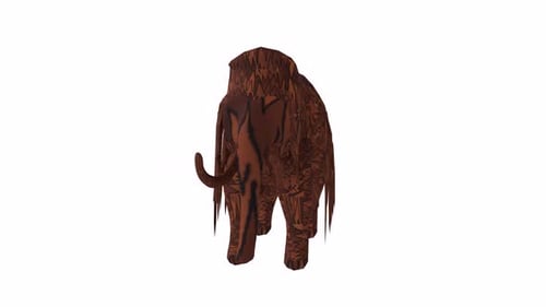 Boucle rotative 3D Mammouth