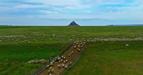 Aerial View of Amazing Mont Saint Michel Castle Fly Over Mont SaintMichel One of Europe's Most
