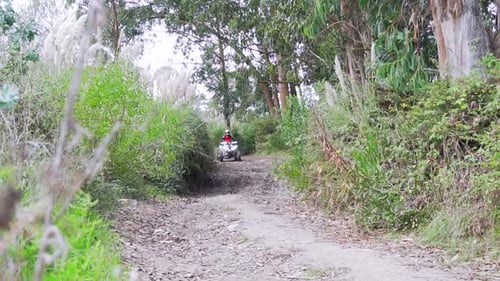 moto 4 and moto driving offroad together