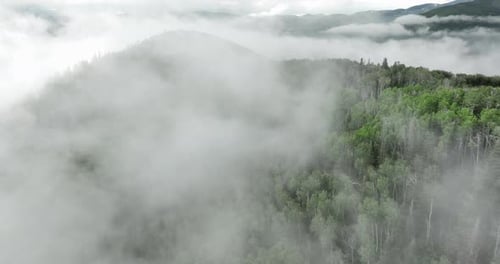 Aerial of low fog hanging over mountain and forest trees.