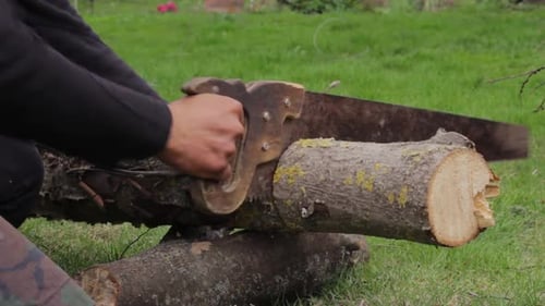 Slow grinding jungle wood with a handsaw