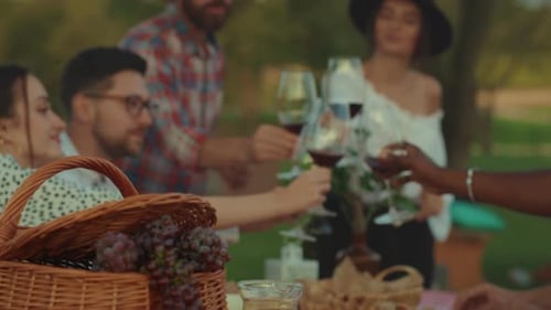 Friends Toasting Wine at Sunny Outdoor Picnic