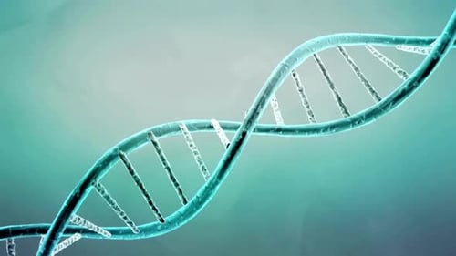 Animated 3D DNA Double Helix Rotating Loop Background