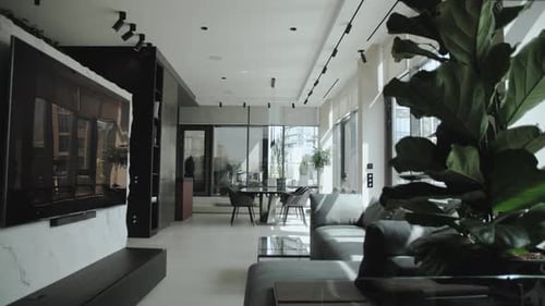 Modern Apartment Interior Design with Gray Sofa