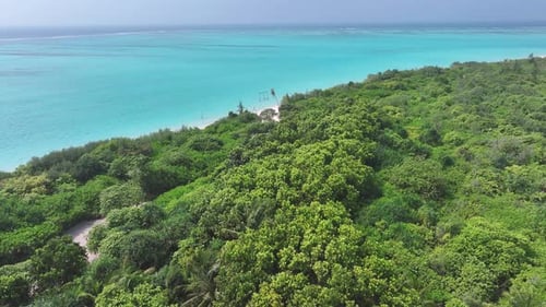 Aerial view of lush island with turquoise water, Maldives.