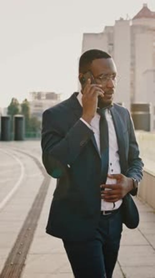 Business Mobility Confident African American Businessman Talking with Partners and Going Outdoors