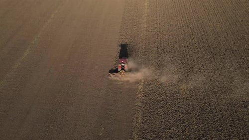 Das Feld für die Ernte vorbereiten