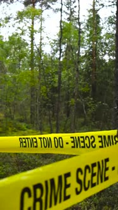 Crime scene yellow tape in front of a forest area with changing bokeh blurry background focus.