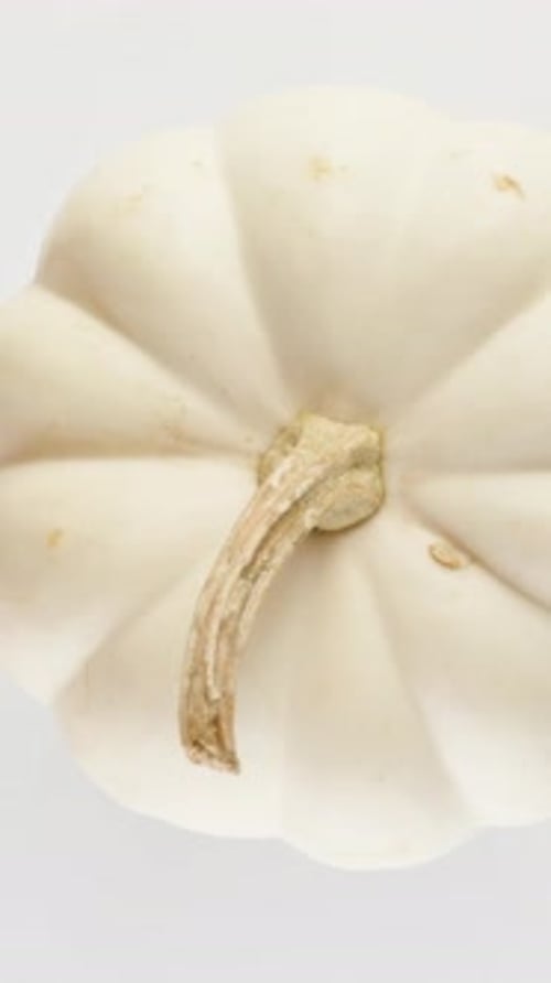 A white pumpkin rotates on a white background, a close-up view from above. Vertical video Social Med