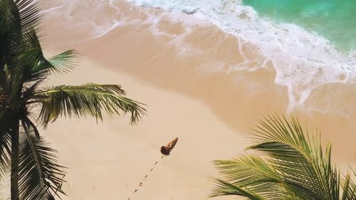 Aerial Drone View of Bikini Woman on Tropical Beach with Palm Trees